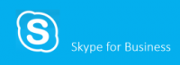 Skype for Business Badge